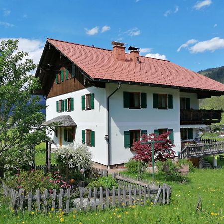 Ferienwohnungen Asterbach Gosau Exterior photo