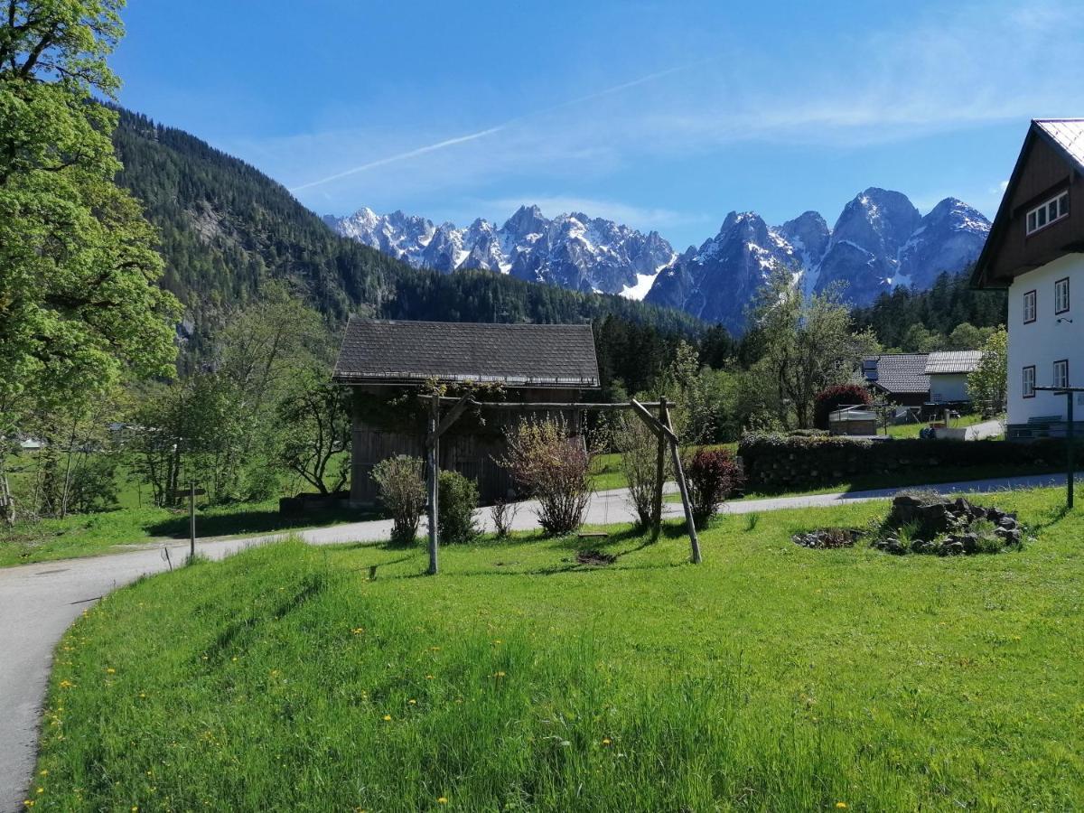 Ferienwohnungen Asterbach Gosau Exterior photo