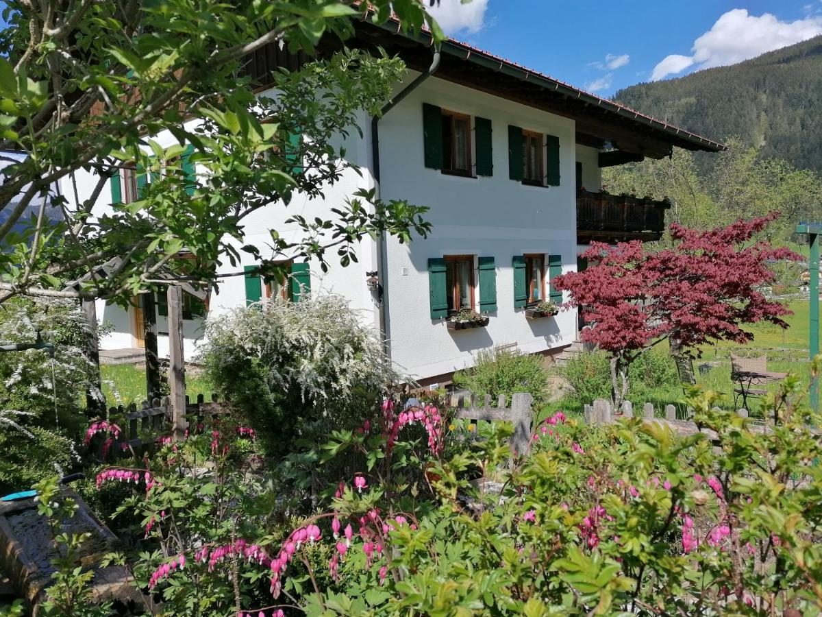 Ferienwohnungen Asterbach Gosau Exterior photo