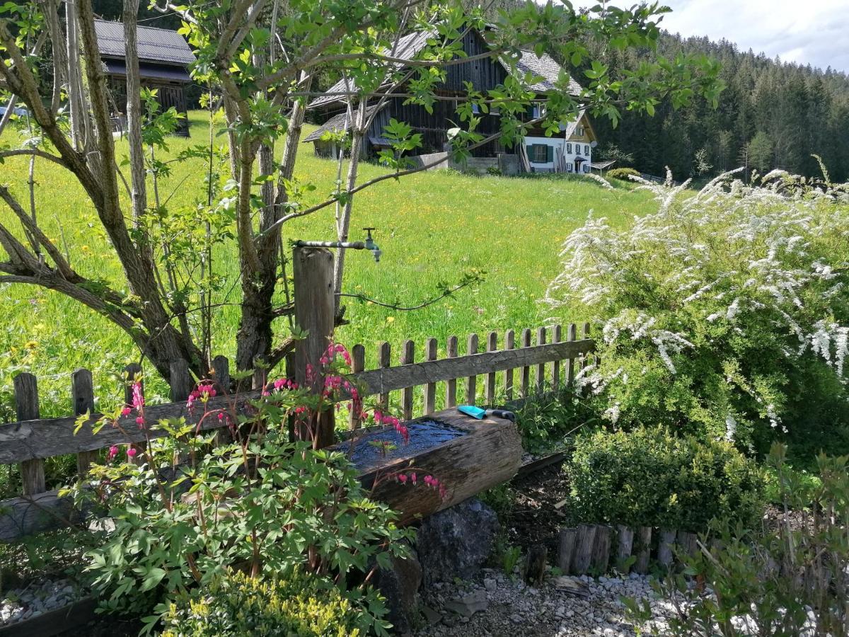 Ferienwohnungen Asterbach Gosau Exterior photo