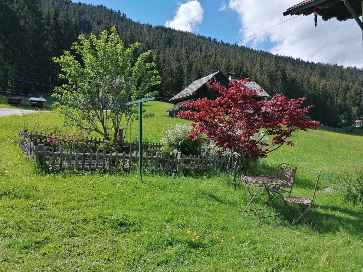 Ferienwohnungen Asterbach Gosau Exterior photo