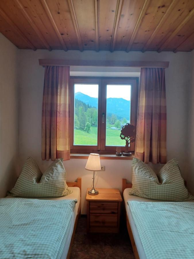 Ferienwohnungen Asterbach Gosau Exterior photo