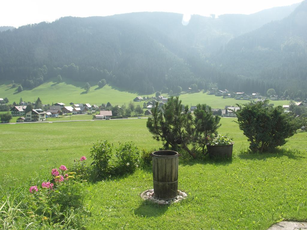 Ferienwohnungen Asterbach Gosau Exterior photo