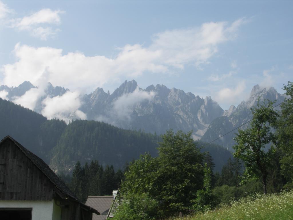 Ferienwohnungen Asterbach Gosau Exterior photo